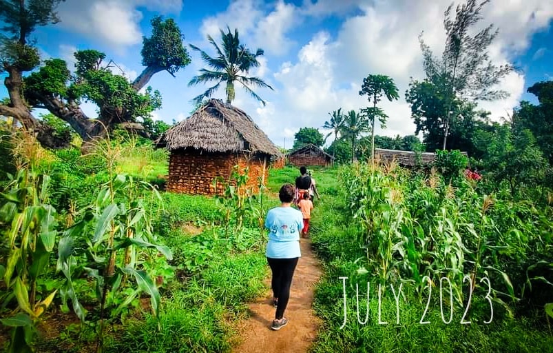 About our work